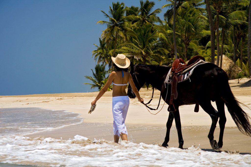 A Unique Way to See Punta Cana: Horseback Riding in Punta Cana! - TravelSearch Guru